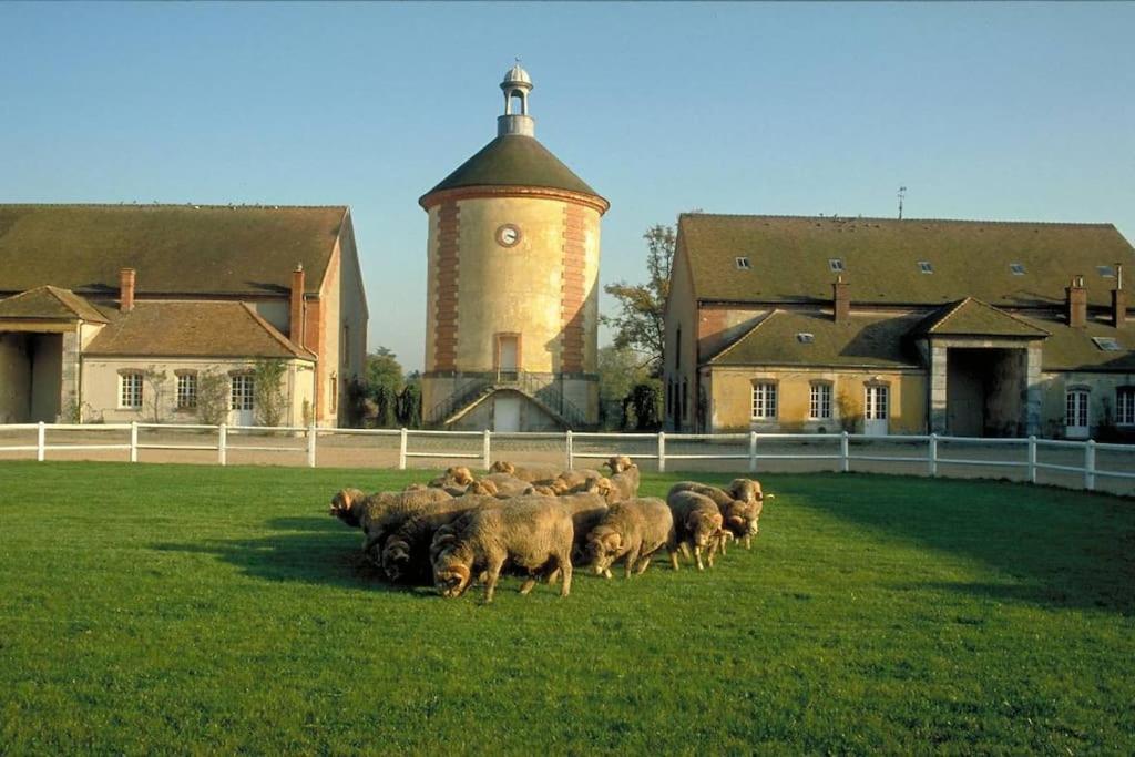 Gite De L'Alisier - Rambouillet - Exterior photo